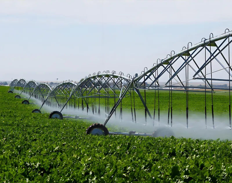 Micro-Sprinkler ဆည်မြောင်းစနစ်